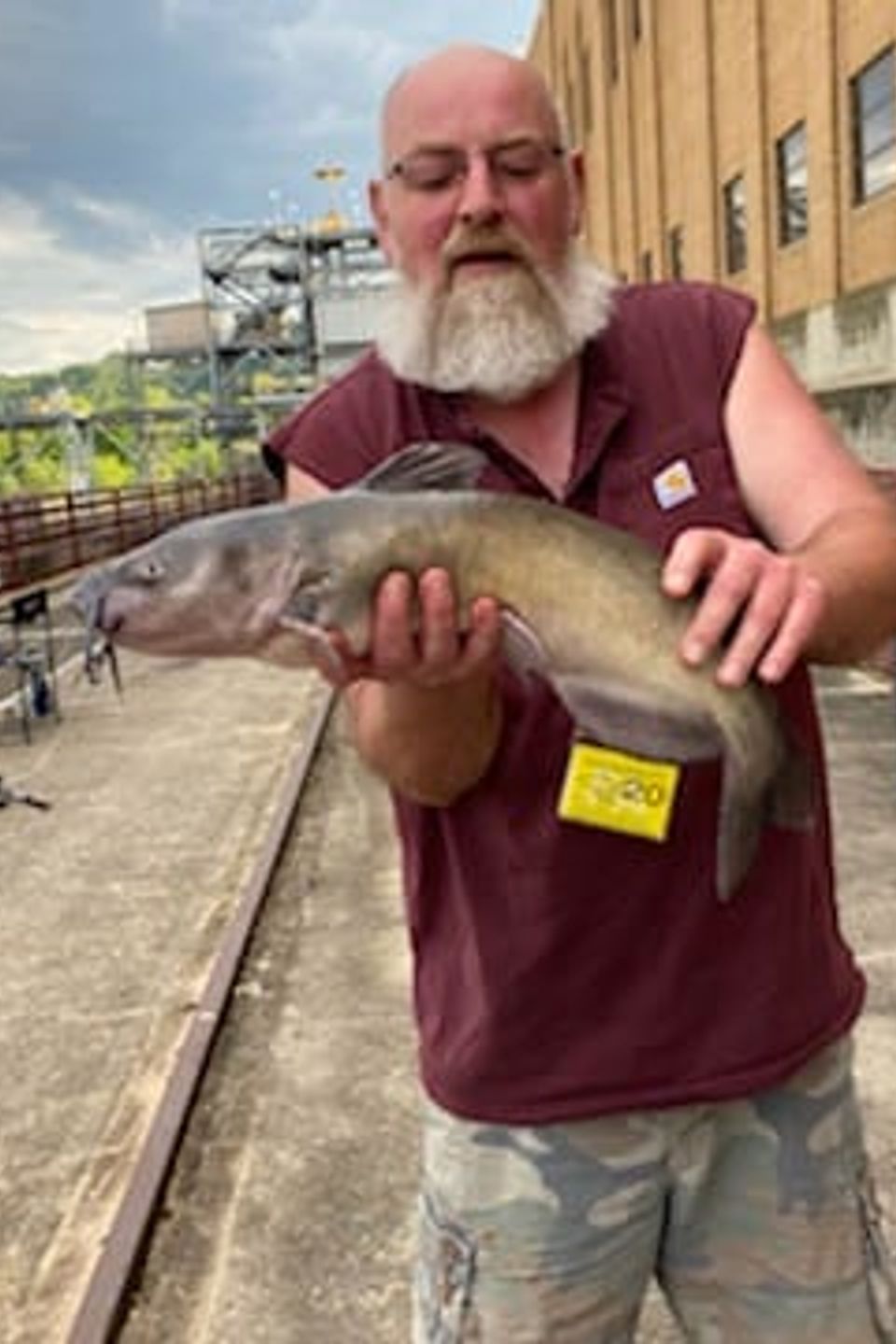 Dennis Snyder with a 26" catfish caught in the Susquehanna River