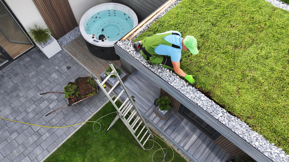 Green roofs for urban areas