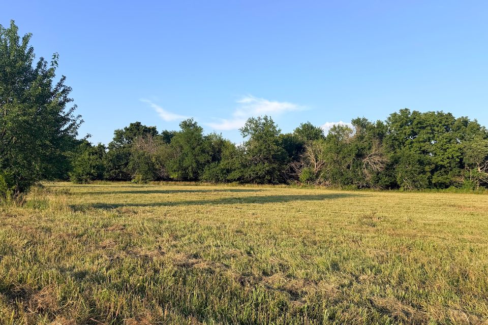 Went 72 24   field looking northeast more light