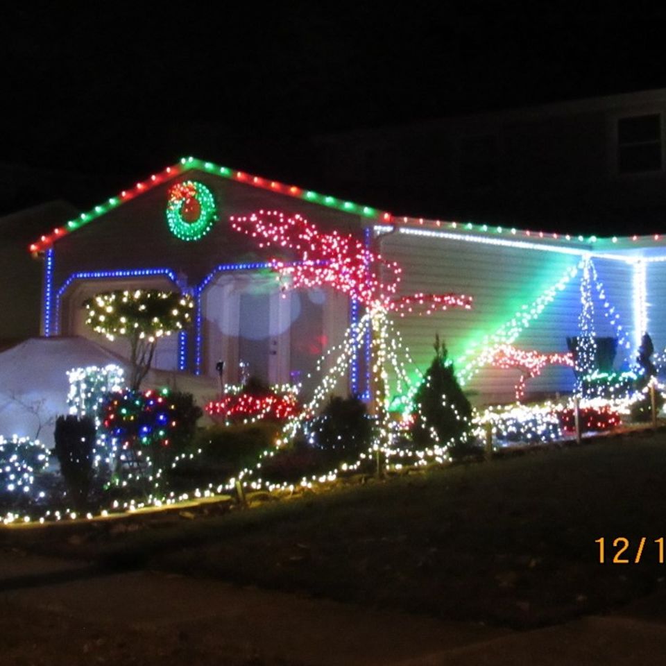 Picture3