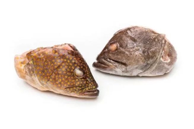 Grouper heads 2 1