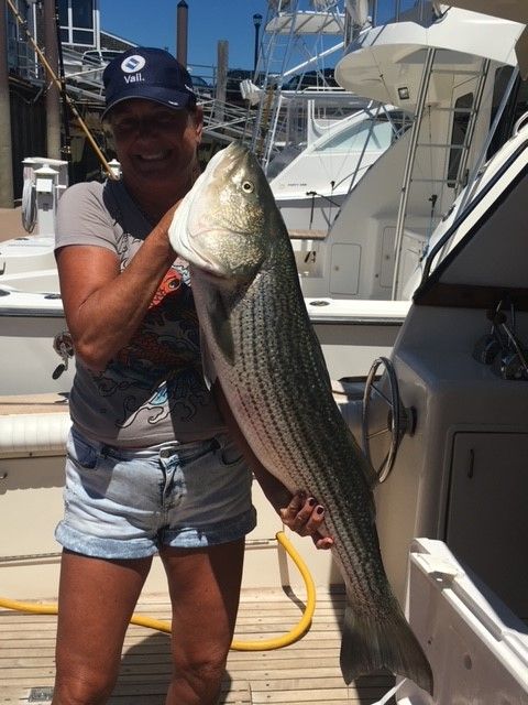 Woman holding large striper on dock