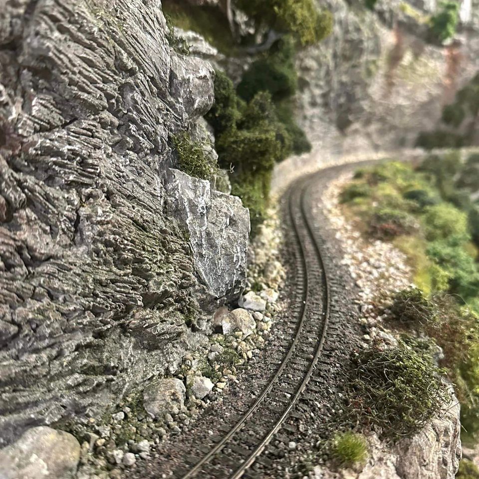 Rr1