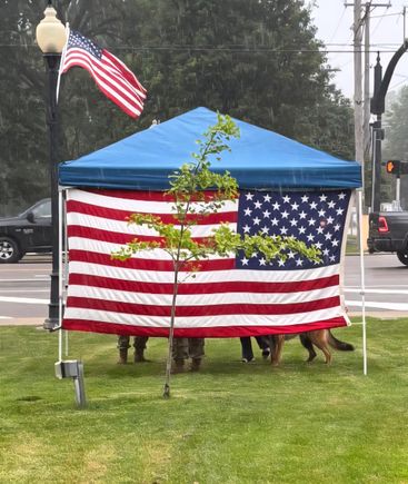 Flag in tent