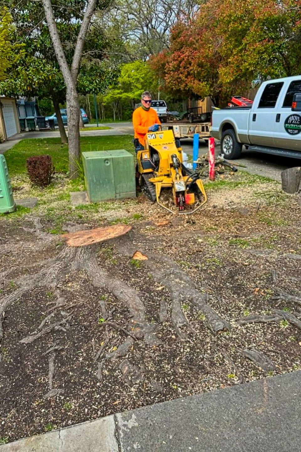 Above It All Tree Care arborist using specialized soil aeration equipment to improve tree root health and nutrient absorption.