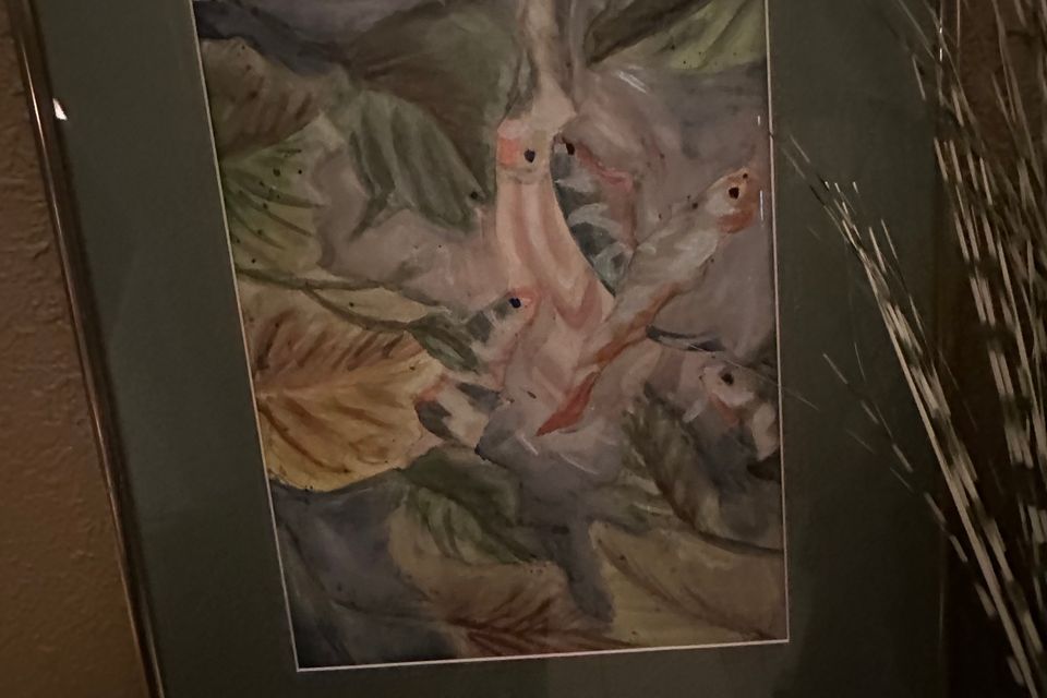 Img 2384