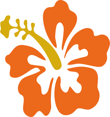 Beach   flower orange 6