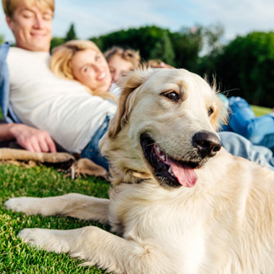 Familyingrasswithdog20180316 13201 1i5ssvh