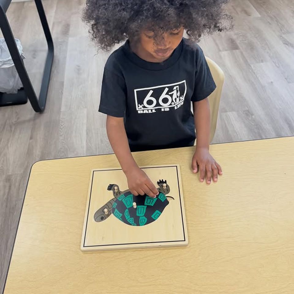 Preschool boy completing a wooden turtle puzzle during Montessori zoology work in Palmdale CA