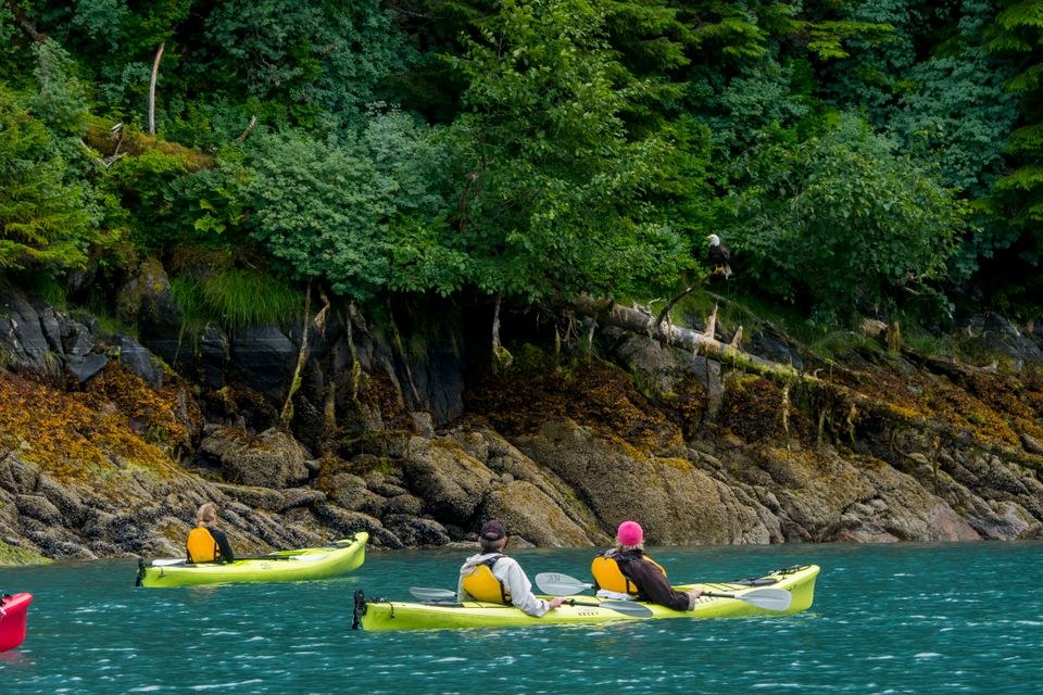 Kayakers