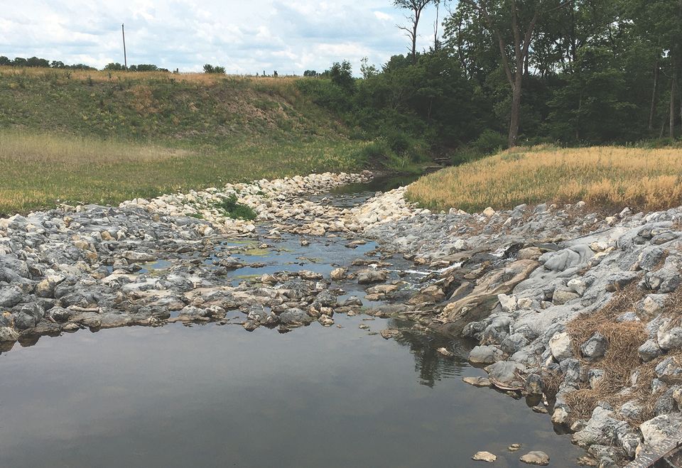 Wetlandrunningdownstream web