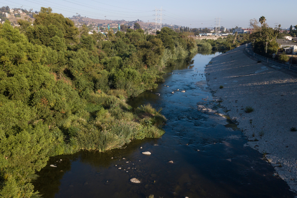 La river green3