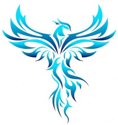 Phoenix Mobile Spa Auto Detailing 