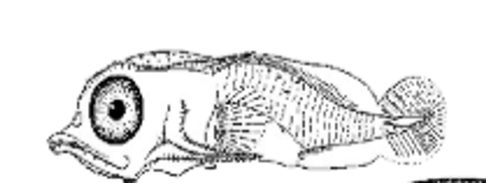 Screenshot 2025 10 15 140150