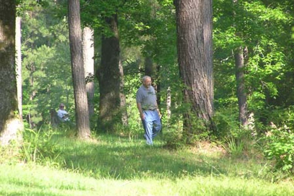 Ramay2007d