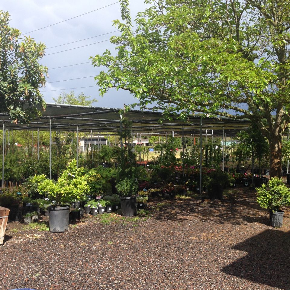 Shade house