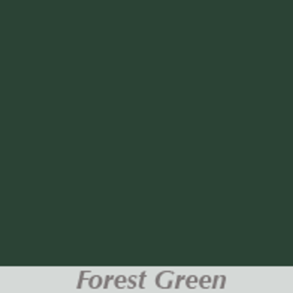 411899 special colors forest green 196x196 1