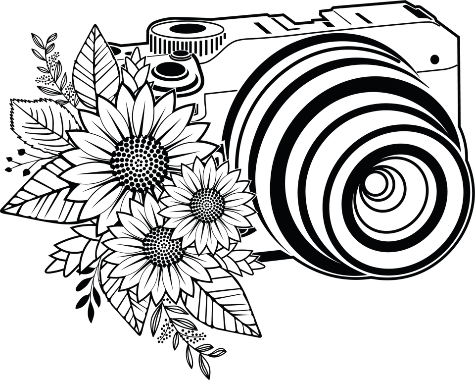 Profession   photographer camera 4 19