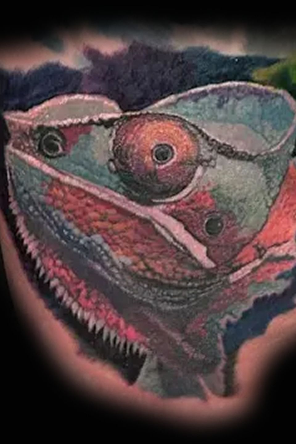 Joey iguana