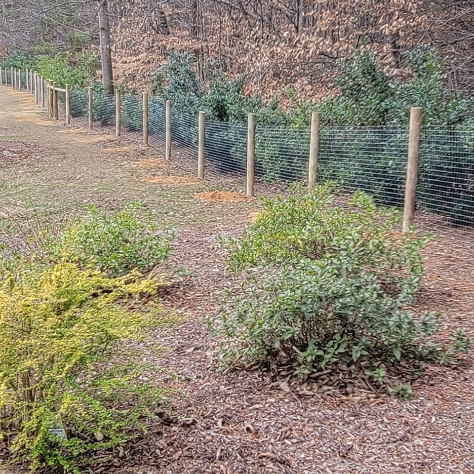 271939645 597548404915664 1685484353652112210 n min