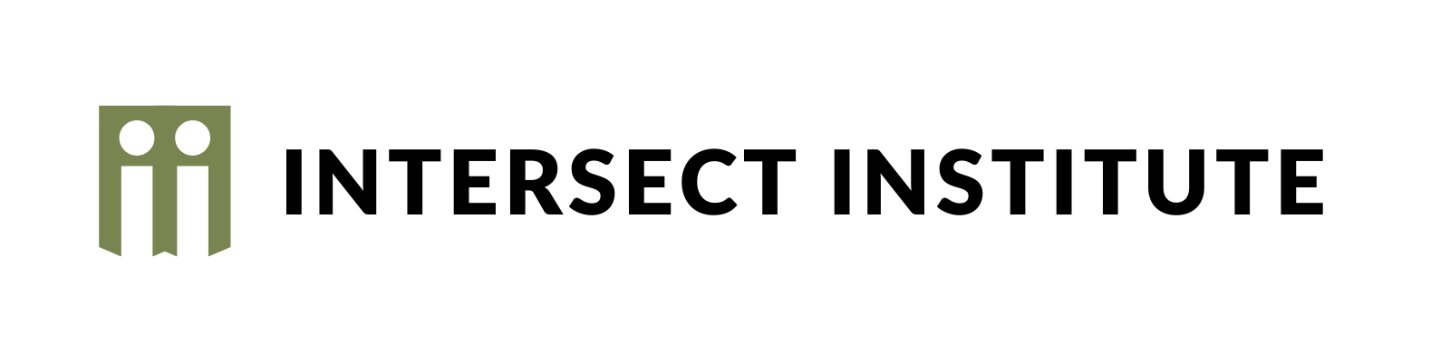Intersect Institute