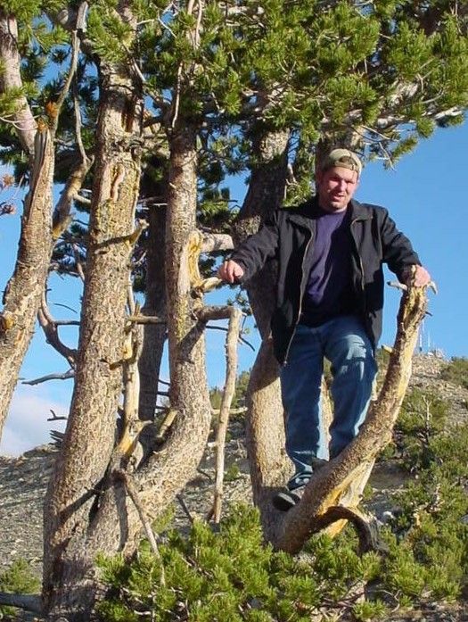 Toquima mtns n. nye 2001 (1)