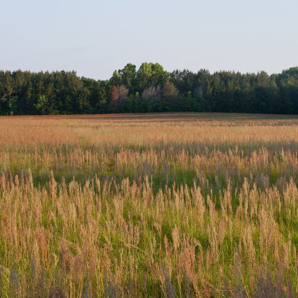 Rc rur sunset hay 4 1