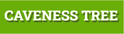 Caveness tree service