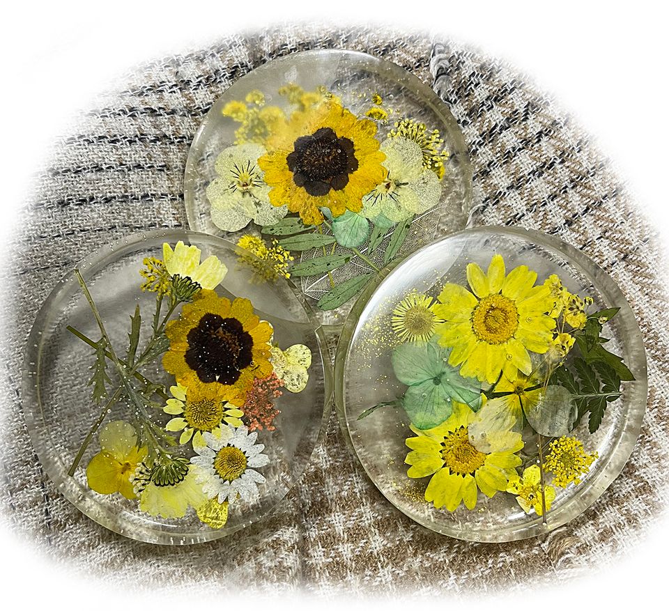 Sunflowercoasters