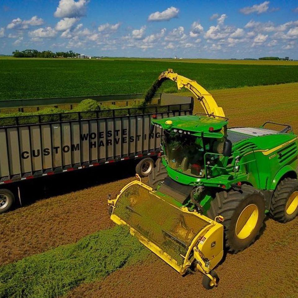 Harvest forage crops - Forage Seed available at ECS Eastern Colorado seed