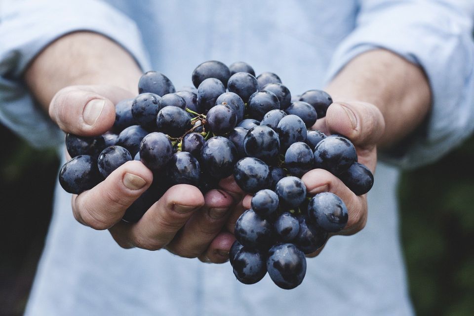 Grapes g53d30d73c 1920