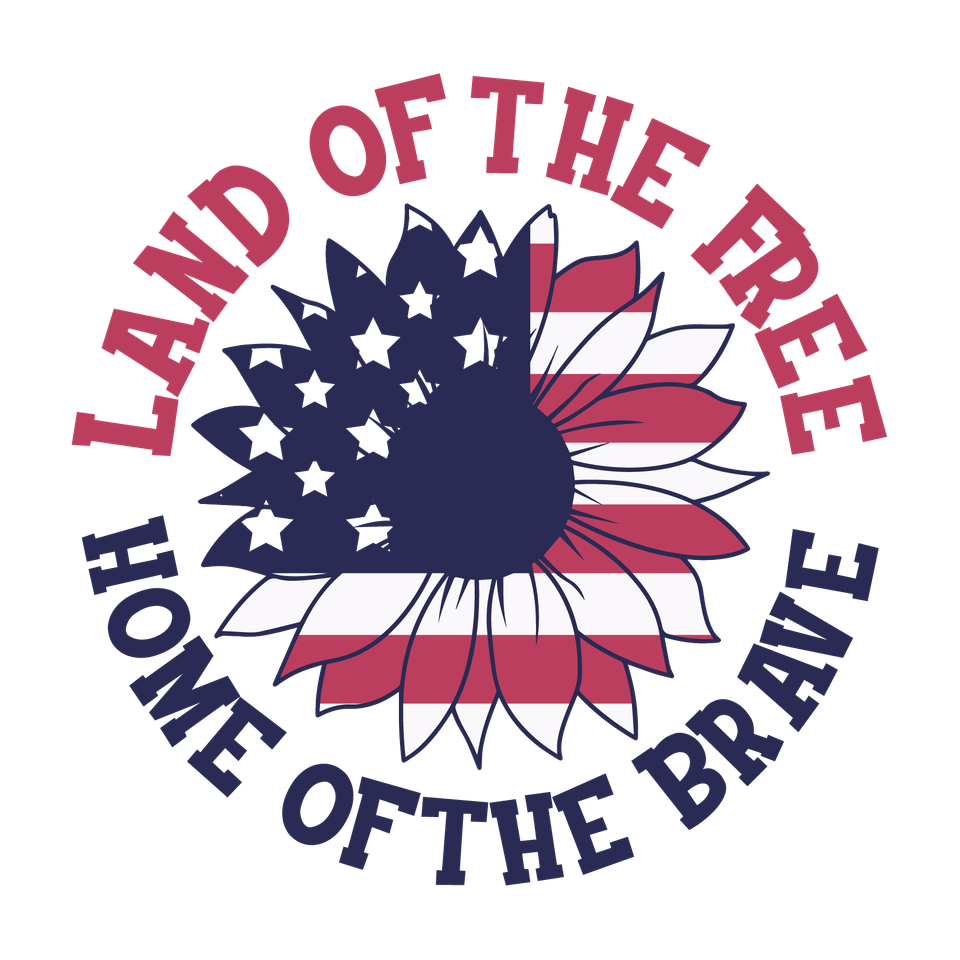 Patriotic   land of the free home of the brave 2