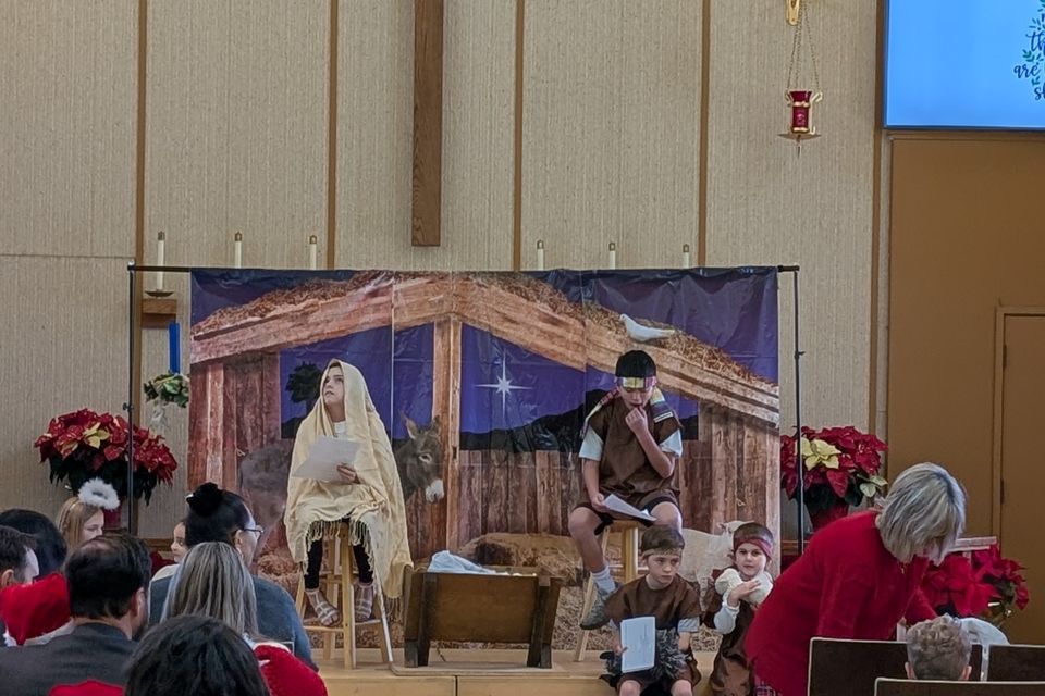 Pxl 20241215 225655004.mp