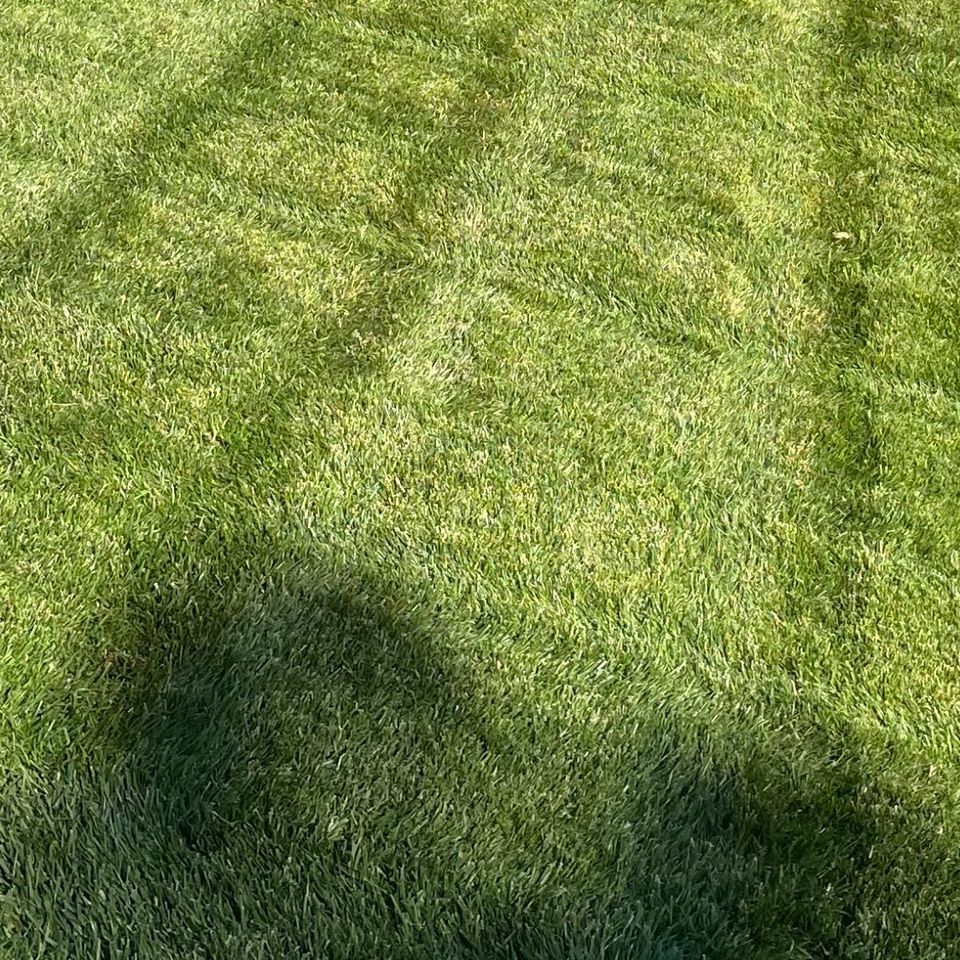 Img 0583