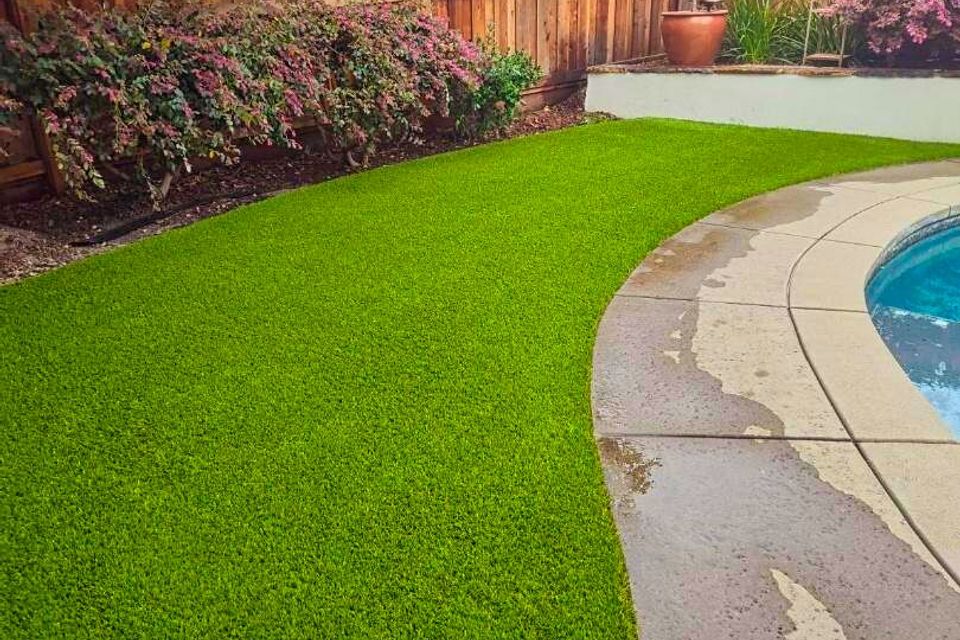 Artificial grass rocklin