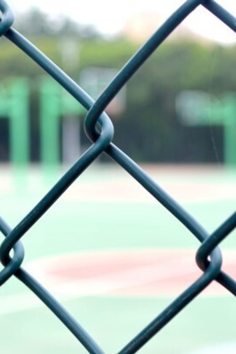 Chain Link Fences & Gates in Twin Falls