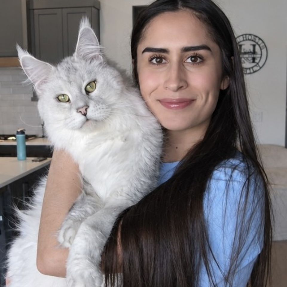 Mireya cat