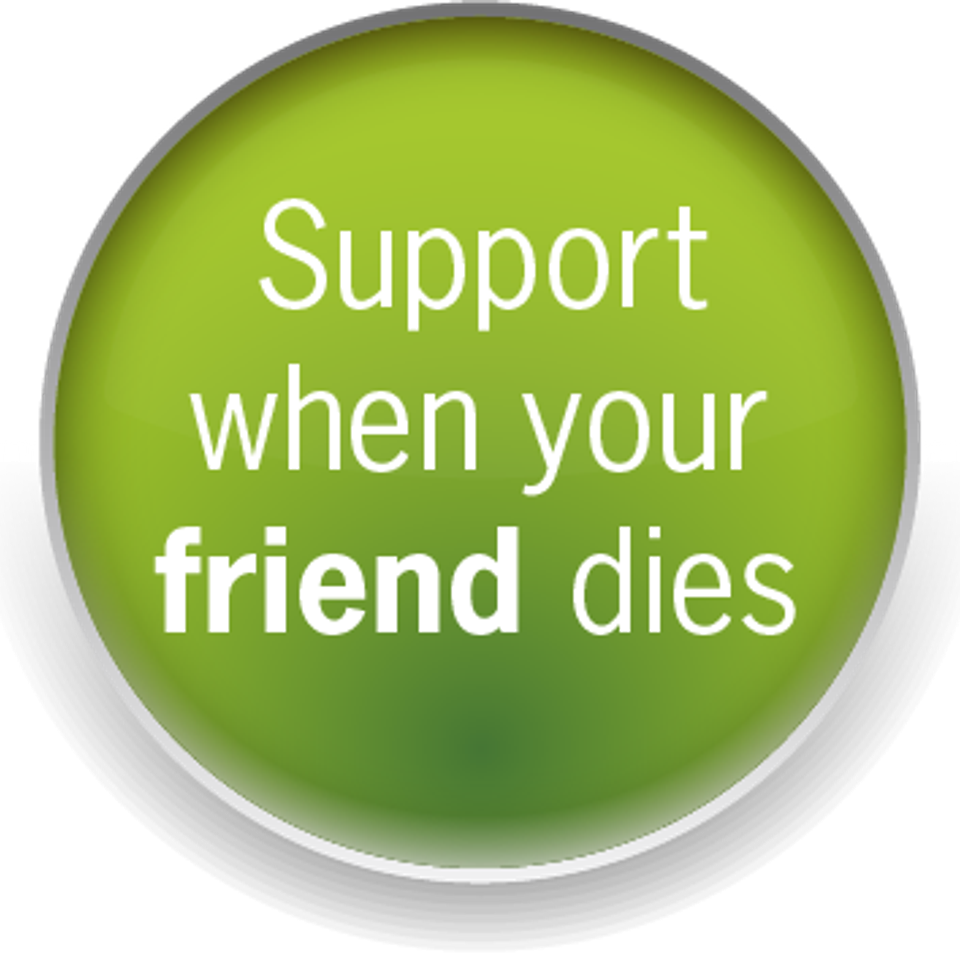 Button  support friend20170823 16098 lcyxdi