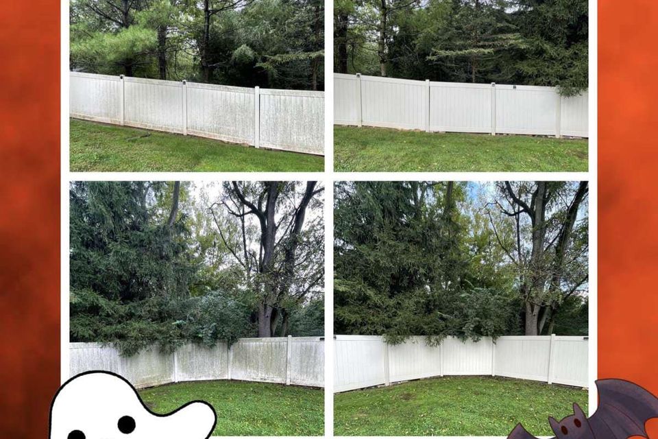 394680260 308275558625489 3208019337949327421 n