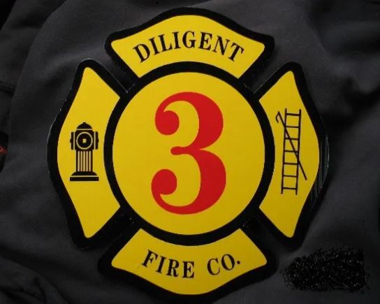 Copy of diligent fire co #3 logo