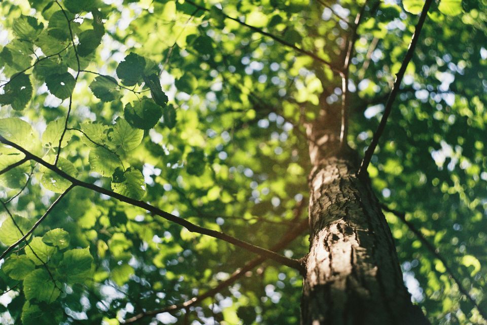 Photo 1519567770579 c2fc5436bcf9