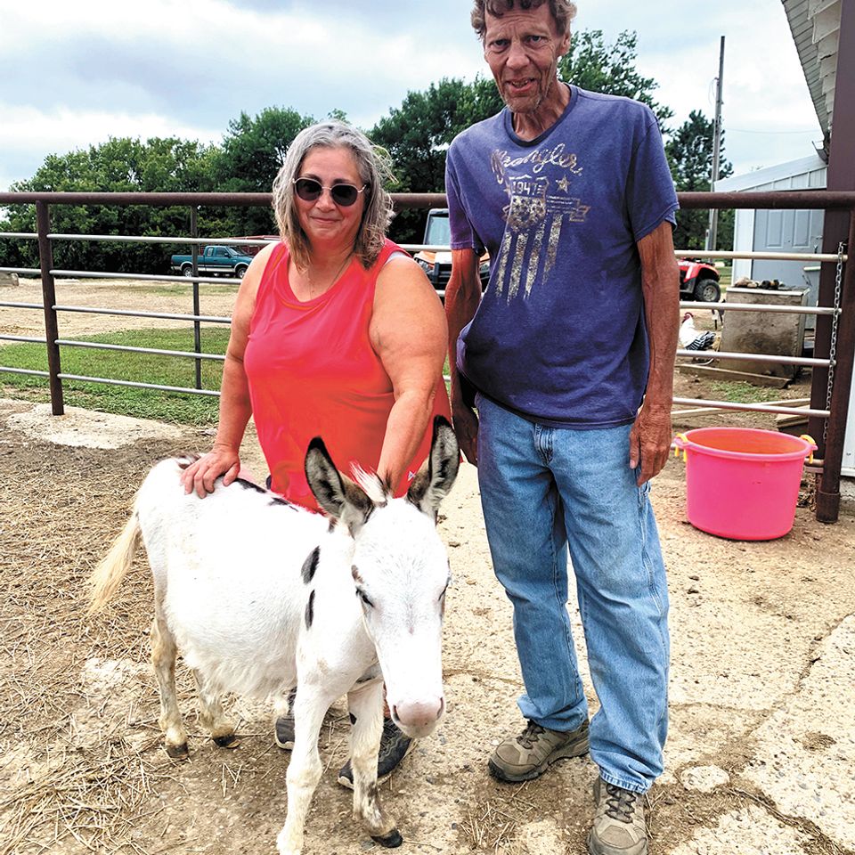 Web myn august 2026 horses dierks 1