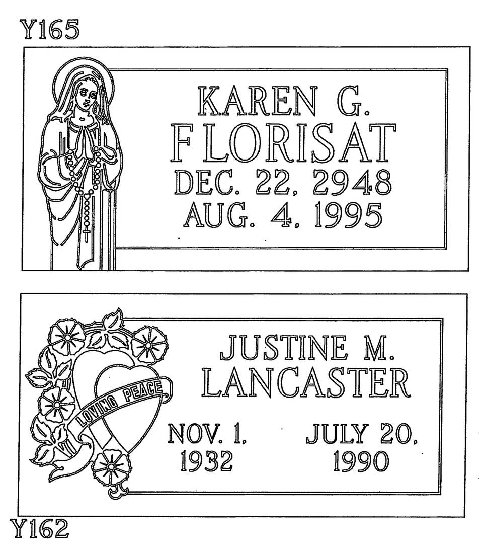 Y165 florisat
