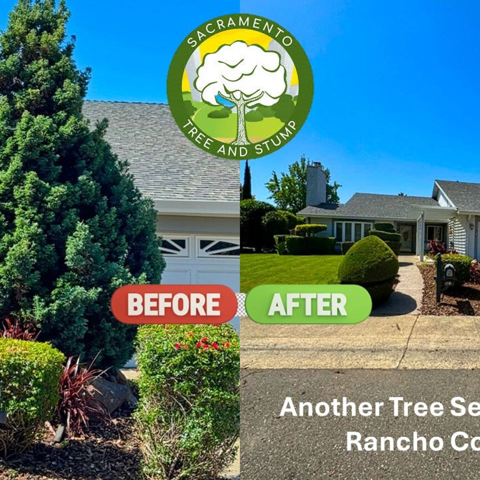 tree service removal rancho cordova