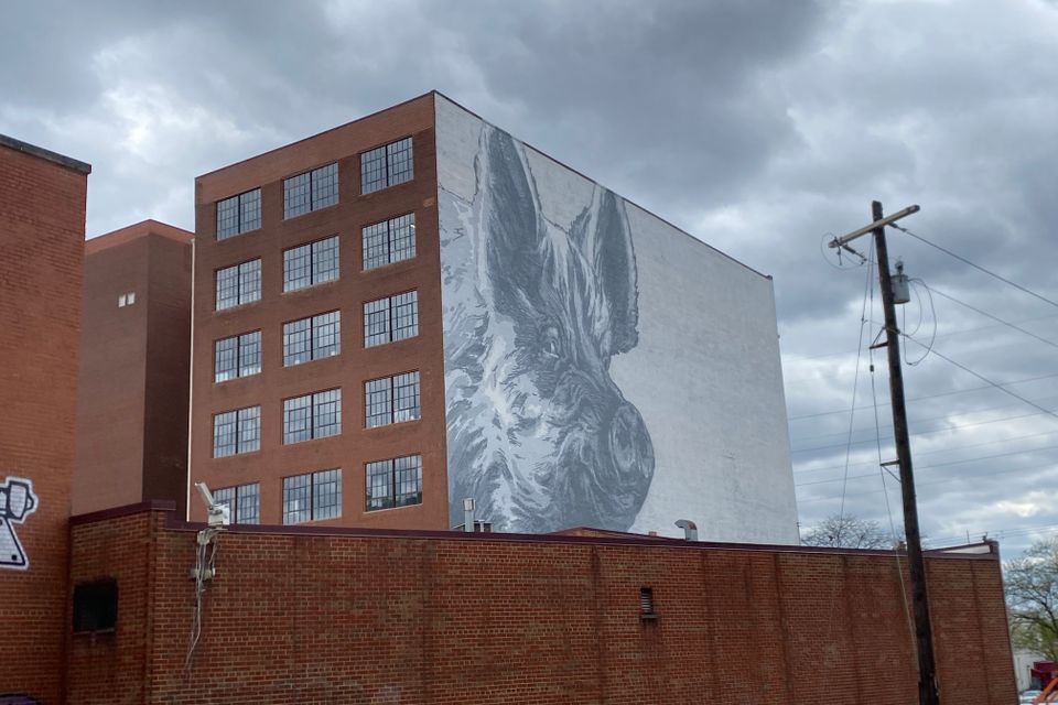 Ginger progress photo 19