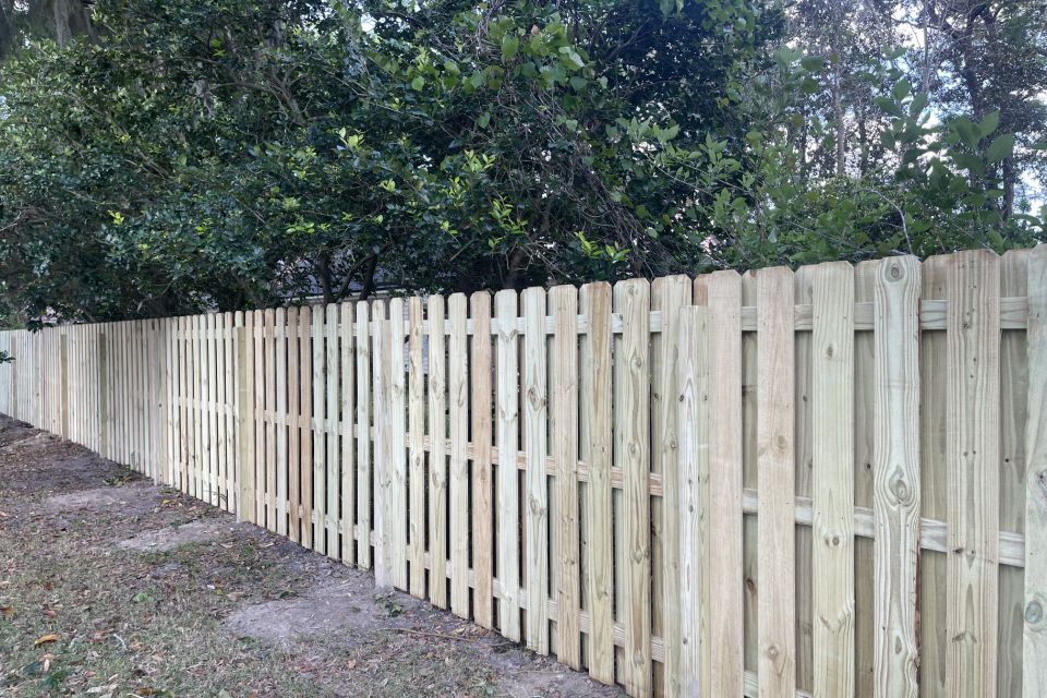 Treated pine