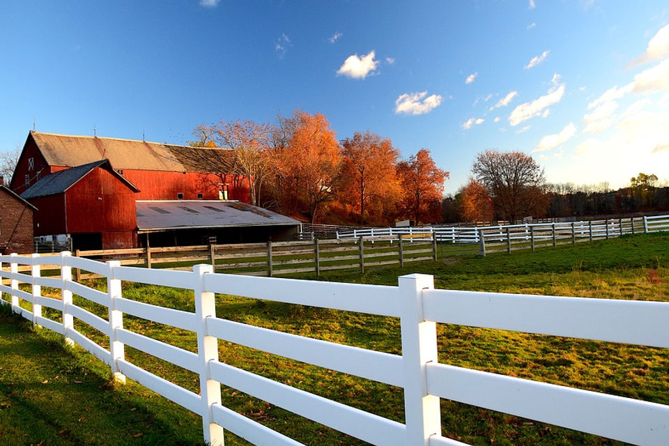 Content 58bf257e307ca20170619 7400 y1k1xy