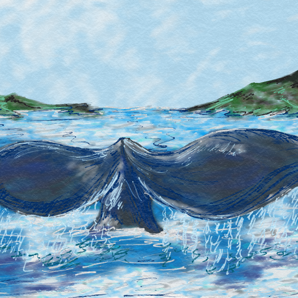 Whale tail