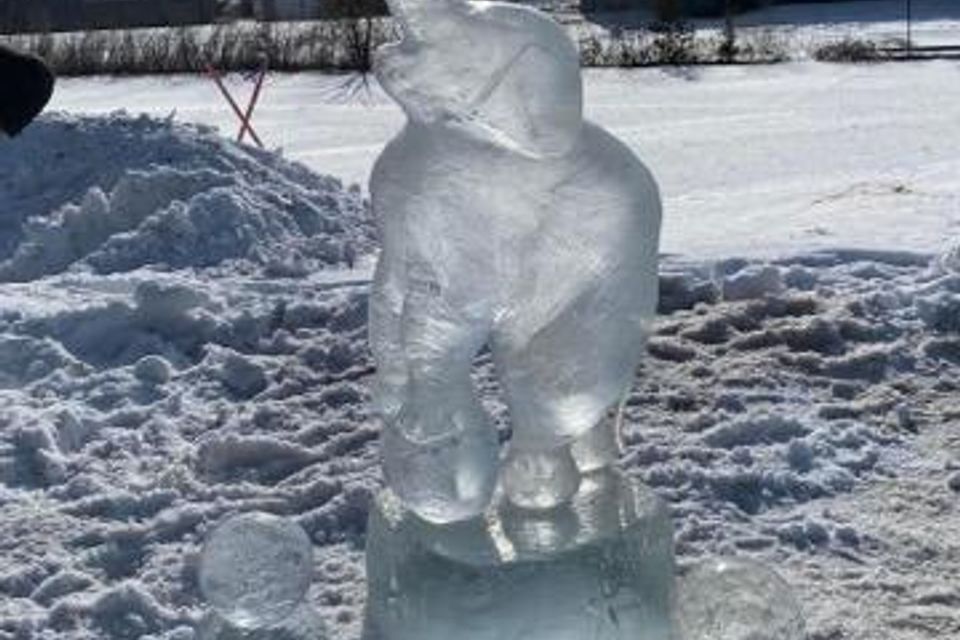 Ice sculpting 2023 33