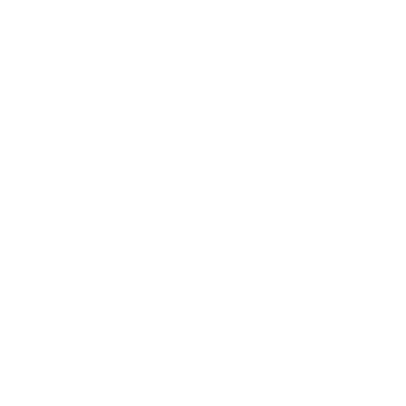 Economic development support white